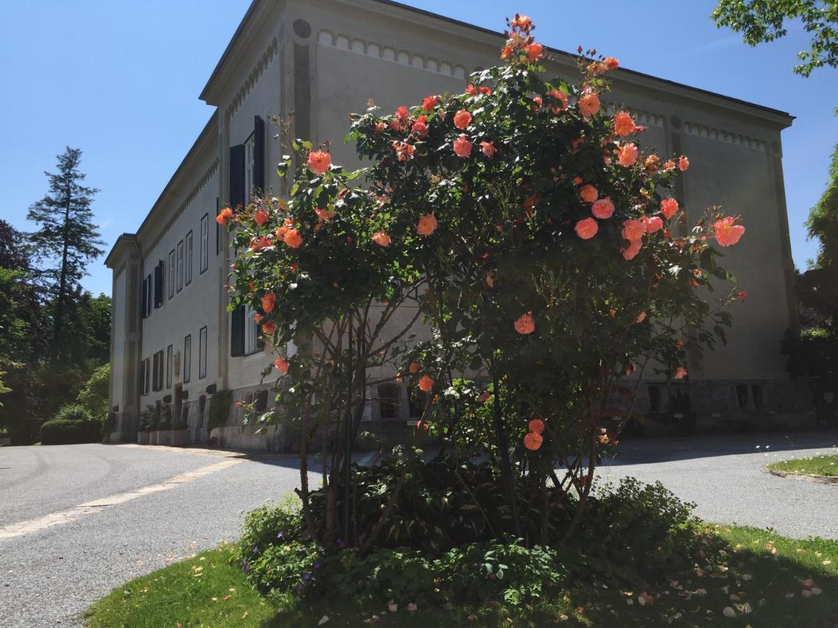 White Flat By Grazrentals With Cool Location & Free Parking Exterior photo